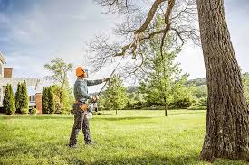 Trusted Fuller Heights, FL Tree Removal and Landscaping Services Experts